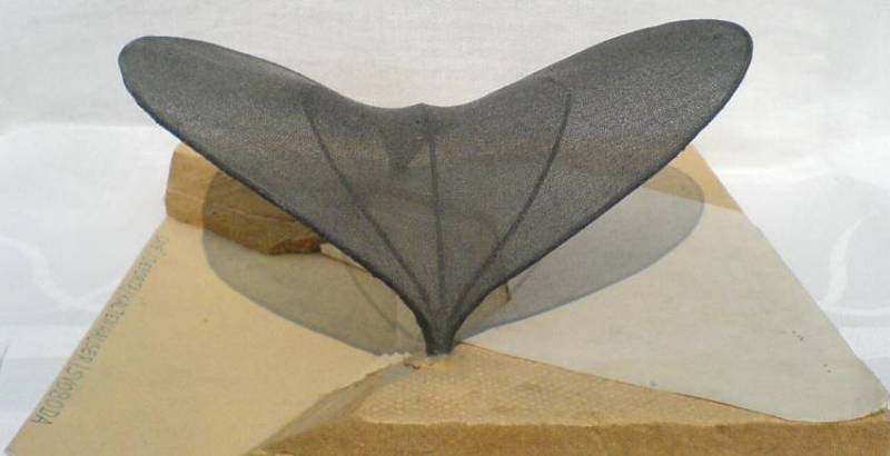 Hier sollte eigentlich das Bild zu sehen sein