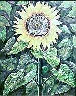 Hier sollte eigentlich das Bild zu sehen sein