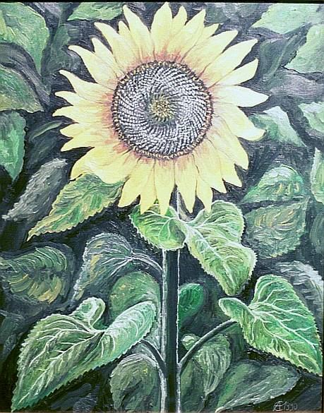 Hier sollte eigentlich das Bild zu sehen sein